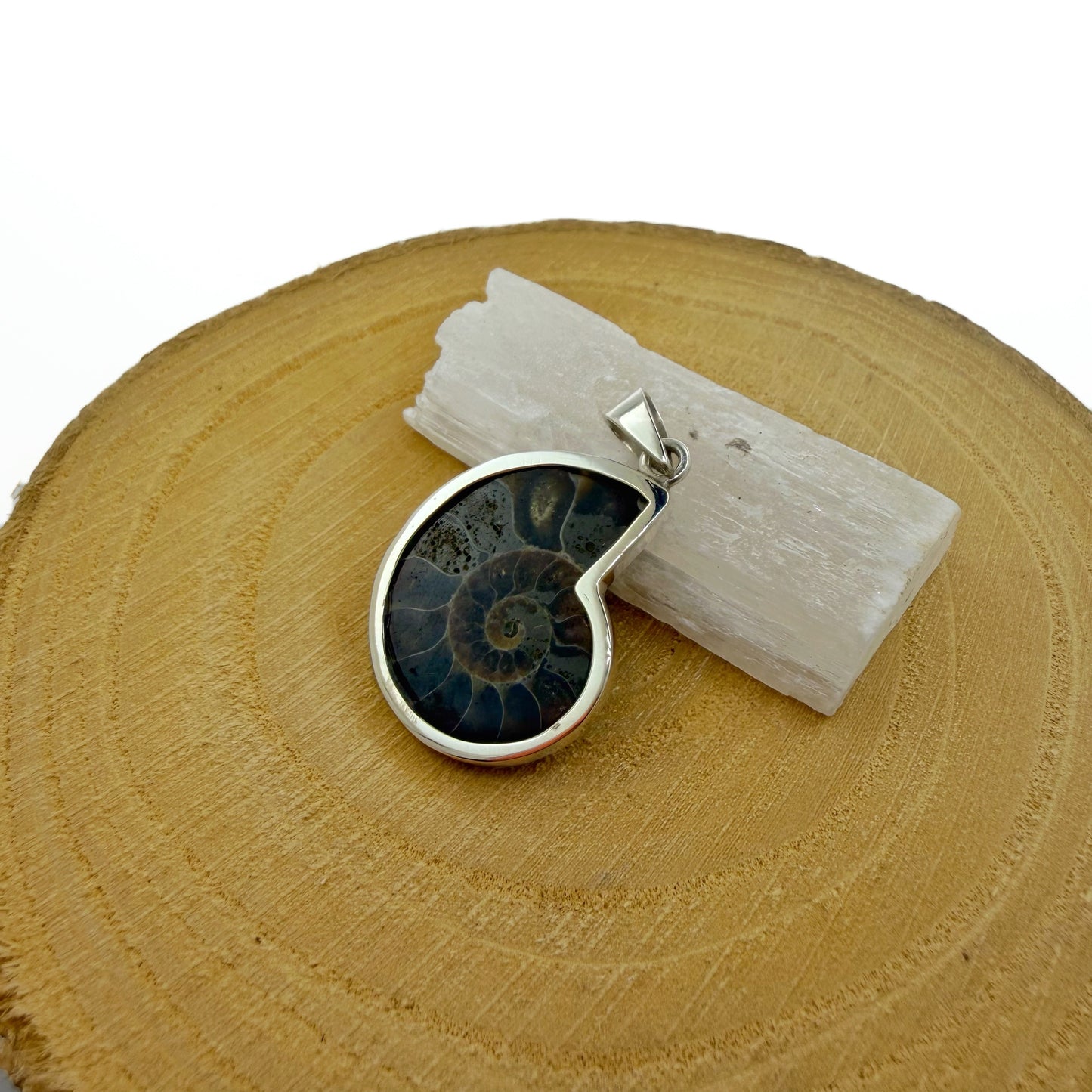 colgante de amonite natural pieza única plata