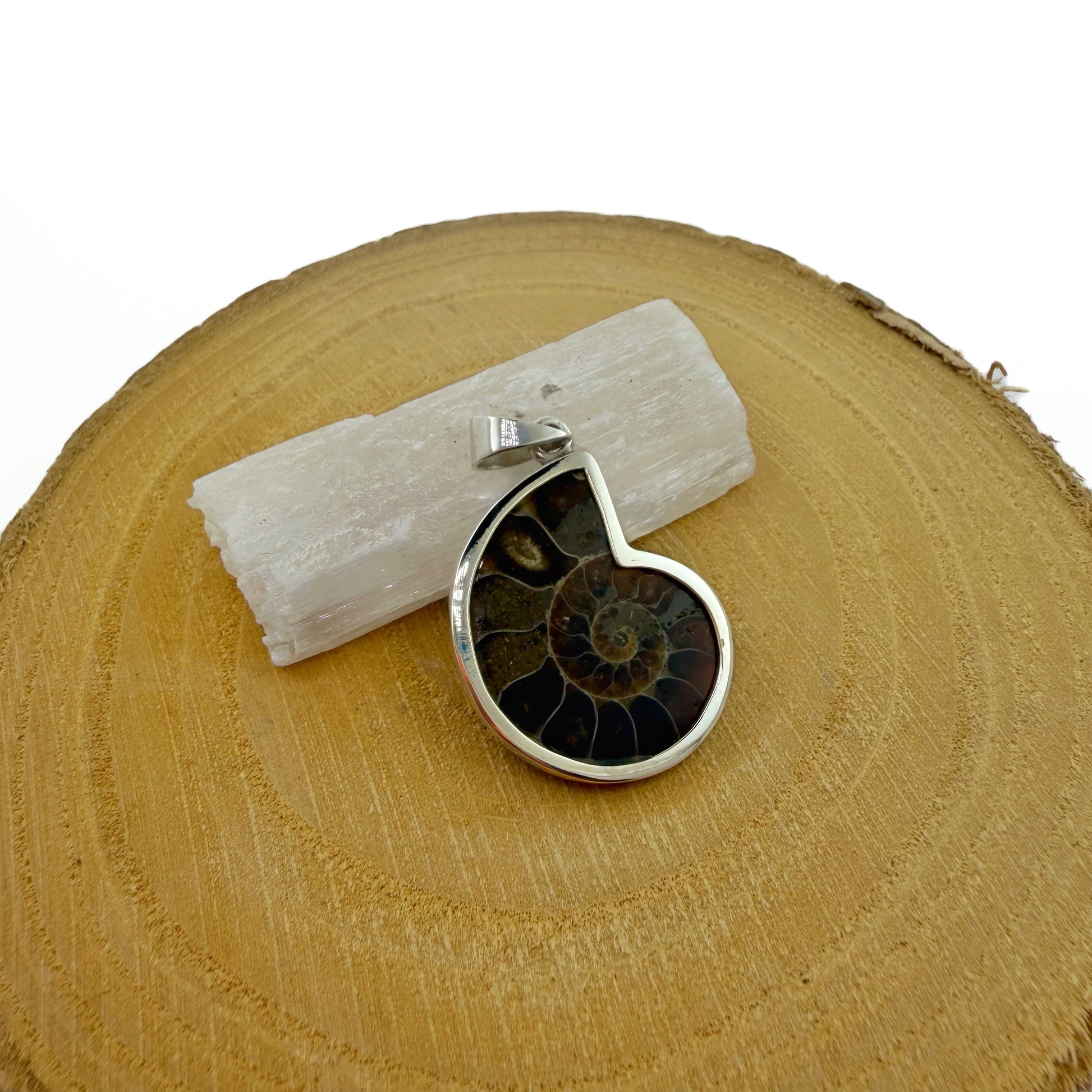 colgante de amonite natural pieza única plata