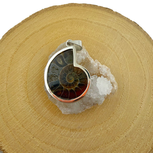 colgante de amonite natural pieza única plata